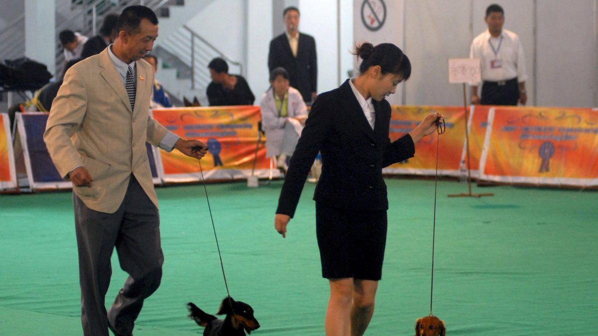 Dos competidores desfilan con sus perros durante el campeonato canino en Qingdao, al este de China.