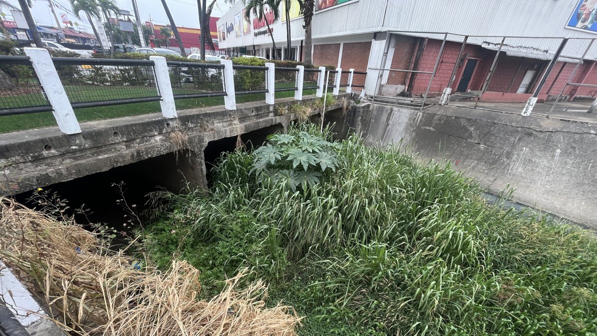 Situación. Gran parte de la zanja está con mucha maleza y desperdicios.