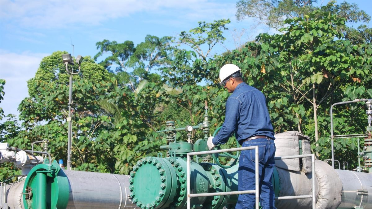 Hecho. El ente lo atribuye a la gestión de sus trabajadores.