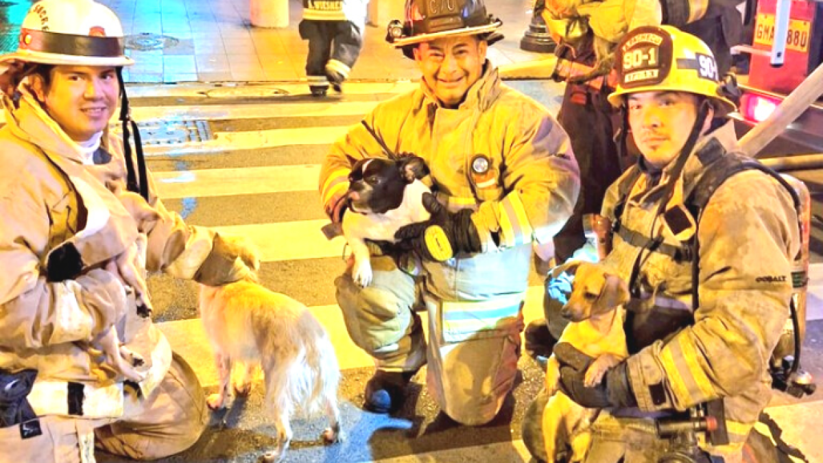 Bomberos de Guayaquil.