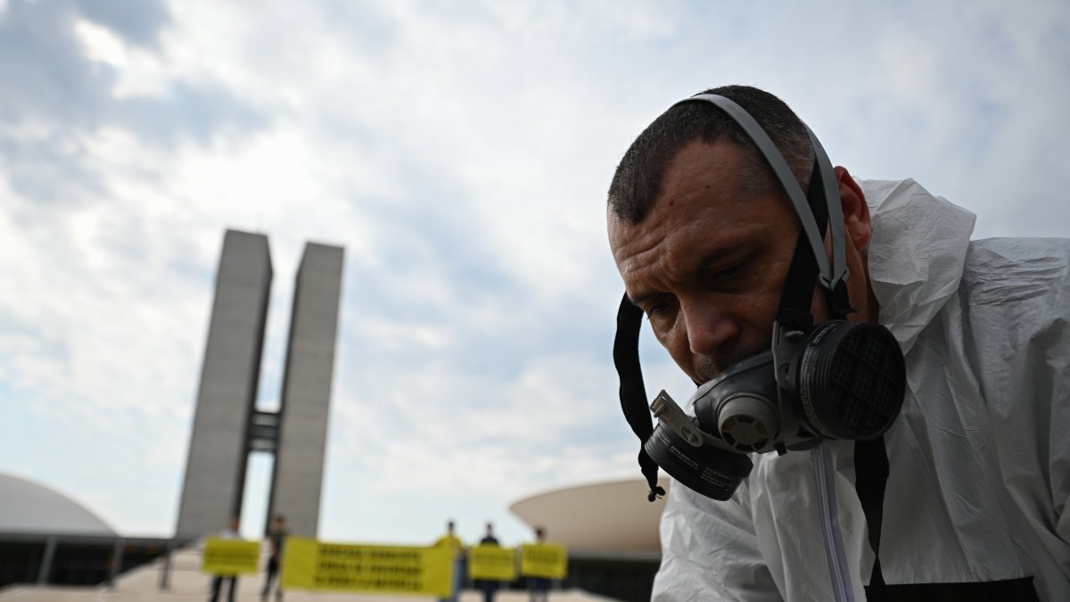 Brasilia. Activistas en una protesta contra el uso de pesticidas agrícolas.