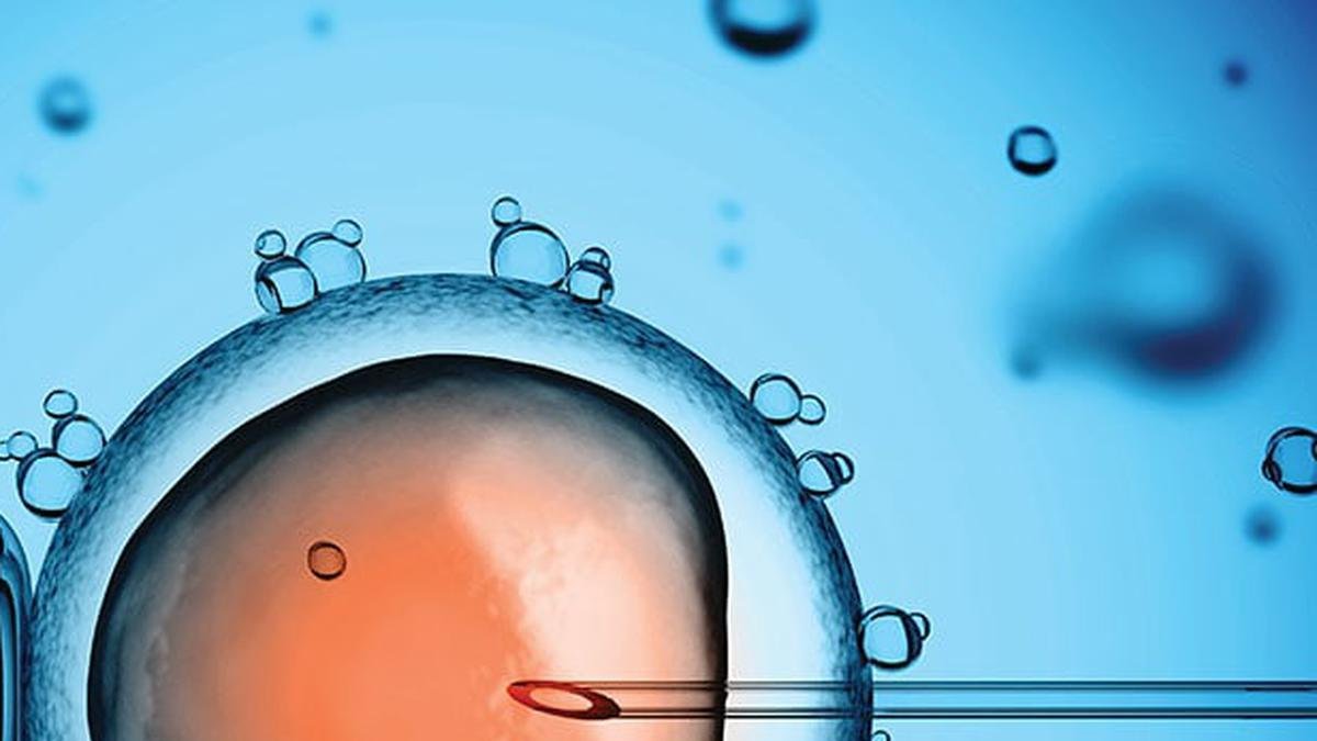 Los óvulos van disminuyendo en calidad y cantidad con el pasar de los años