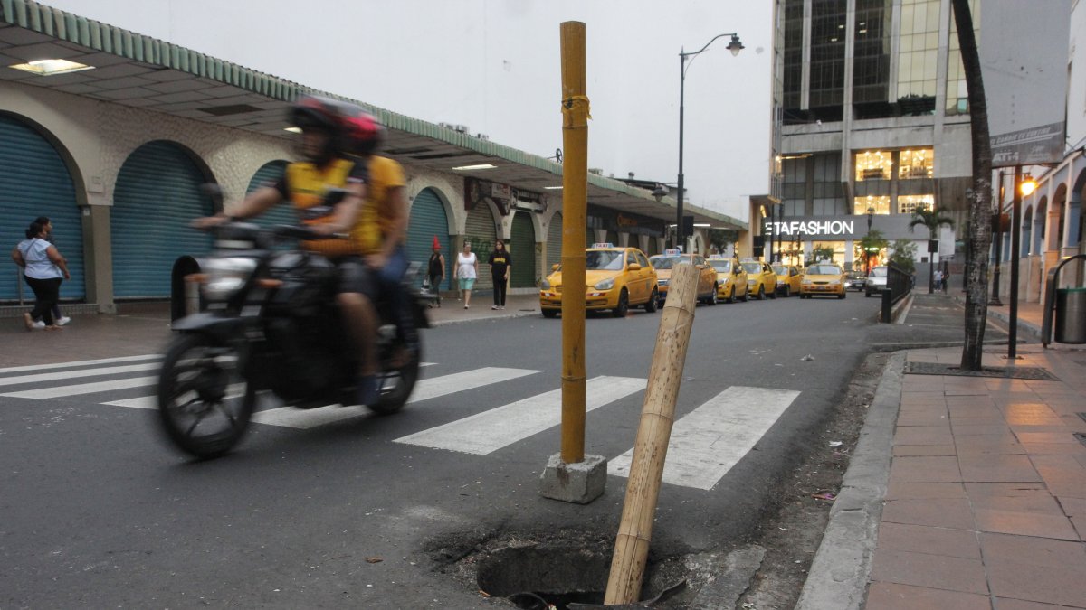 Las cañas colocadas en una alcantarilla, en el centro de la ciudad.