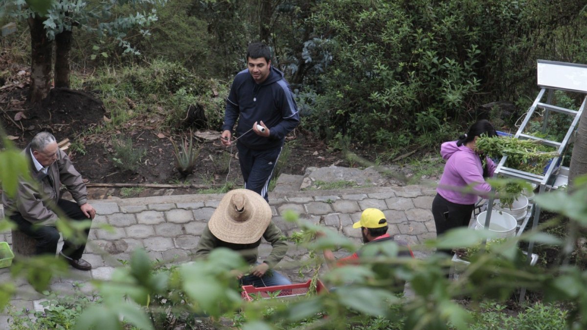Concepto. Huertomanías no es un centro psiquiátrico, sino una empresa que permite a sus socios mantenerse sin discriminación.