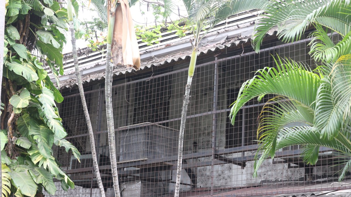 Lugar. La Aduana de Fierro se encuentra en las calles Vacas Galindo y Vivero.