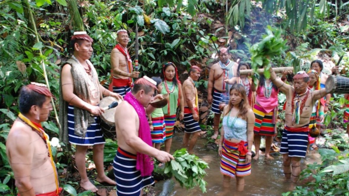 Santo Domingo de los Tsáchilas una provincia ganadera y agrícola, rodeada de un escenario bosques tropicales, ríos y cascadas.