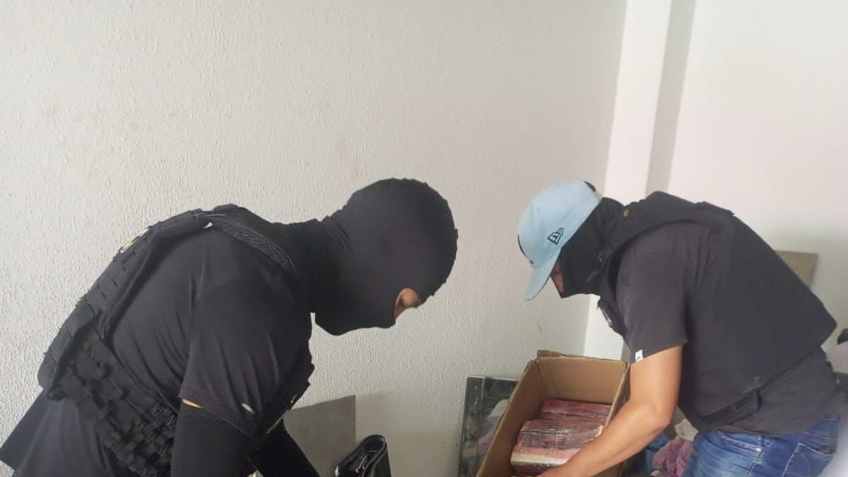 Caso. Los paquetes estaban distribuidos en varias divisiones de la casa y escondidos en distintos grupos.