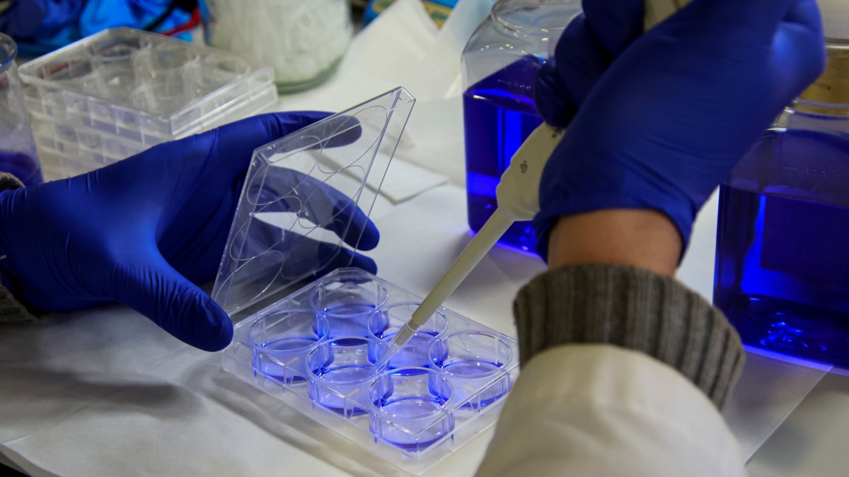 Imagen de archivo de un laboratorio