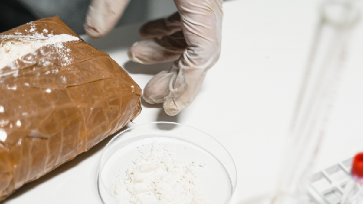 Los policías hallaron un total de 500 paquetes de cocaína con forma de ladrillo.