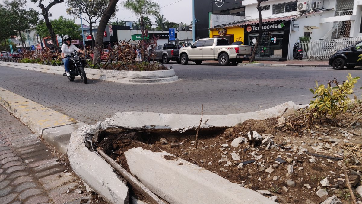 Un parterre se encuentra en mal estado en las calles Víctor Emilio Estrada y Ébanos, en Urdesa.