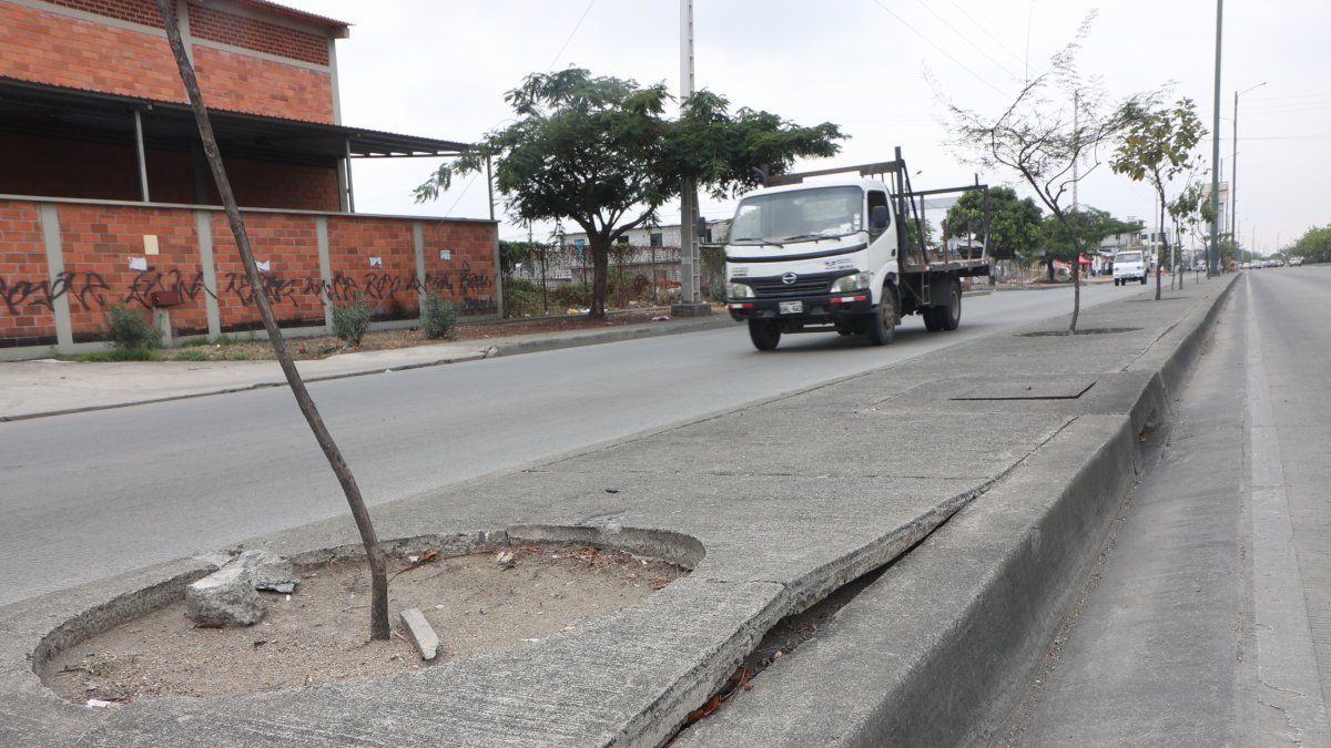 En un tramo de la autopista Narcisa de Jesús se observa un parterre en mal estado.