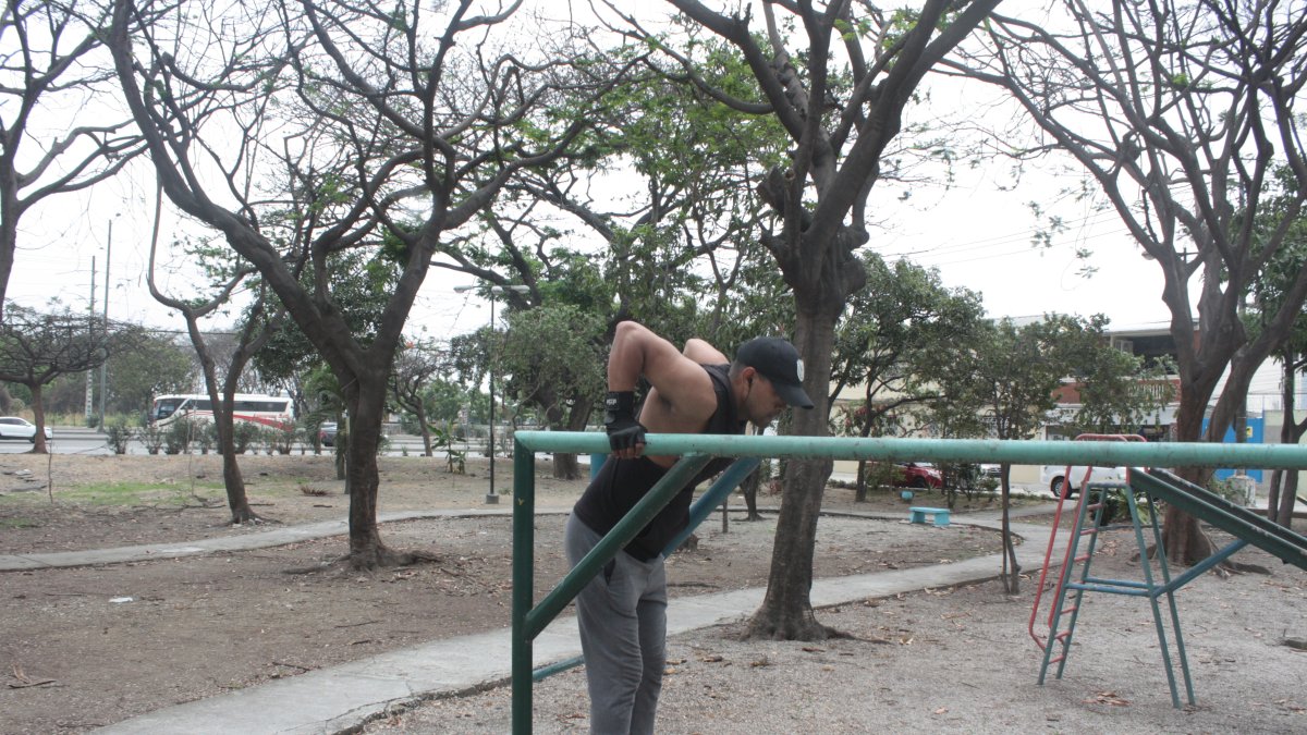 Panorama. Varios árboles que decoran el parque quedaron sin su verdor.