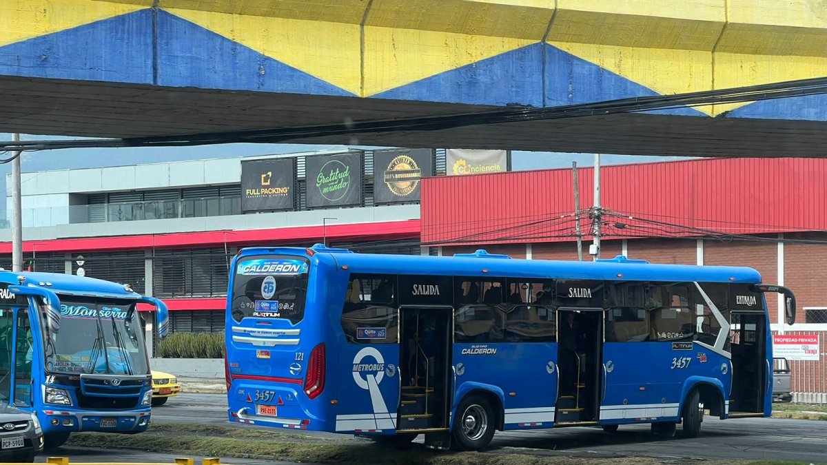 Un conductor invade el parterre y los carriles de la av. Galo Plaza Lasso para dar vuelta en u.