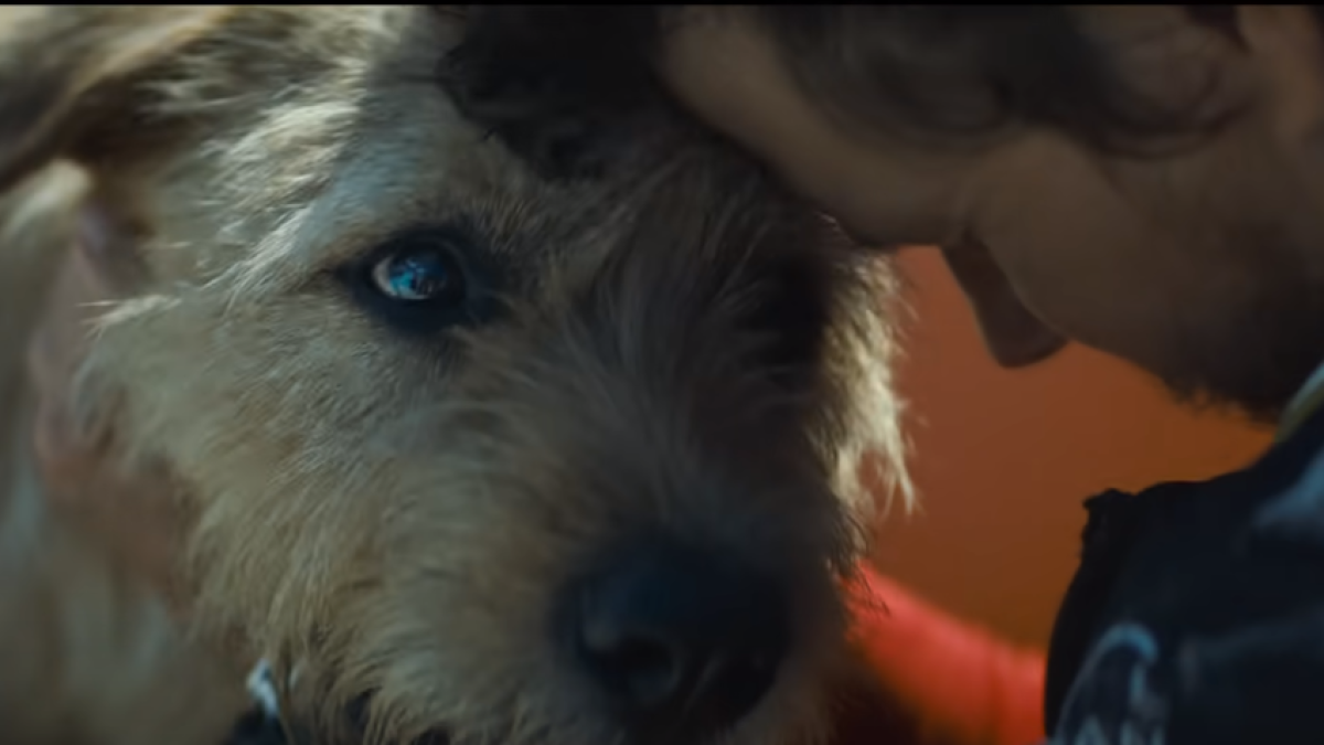 Trailer - La película estrenará celebridades como Mark Wahlberg