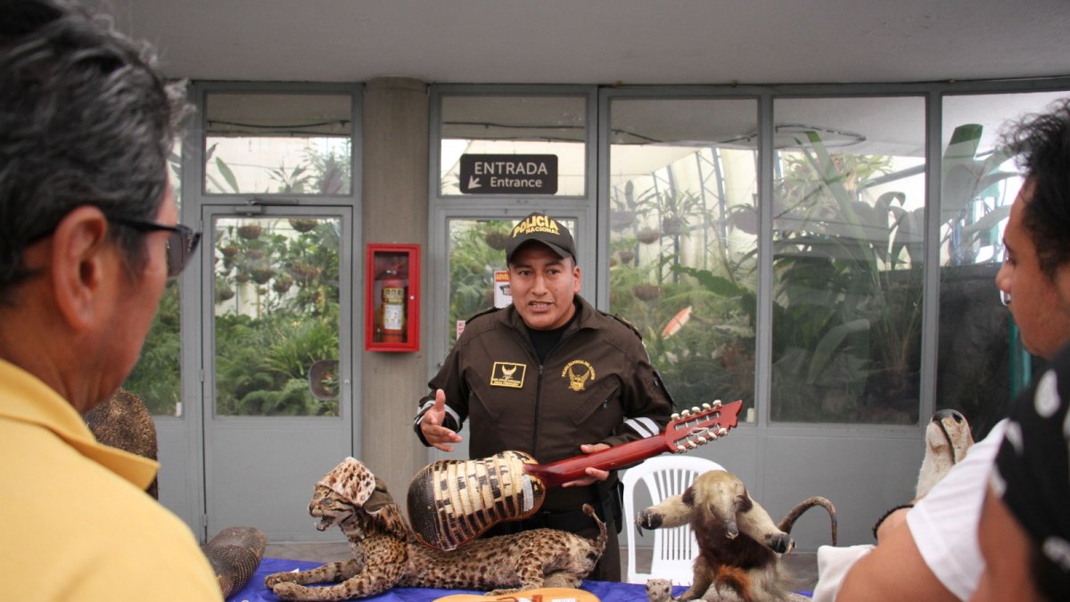 Los rescates se incrementaron en el Distrito Metropolitano de Quito