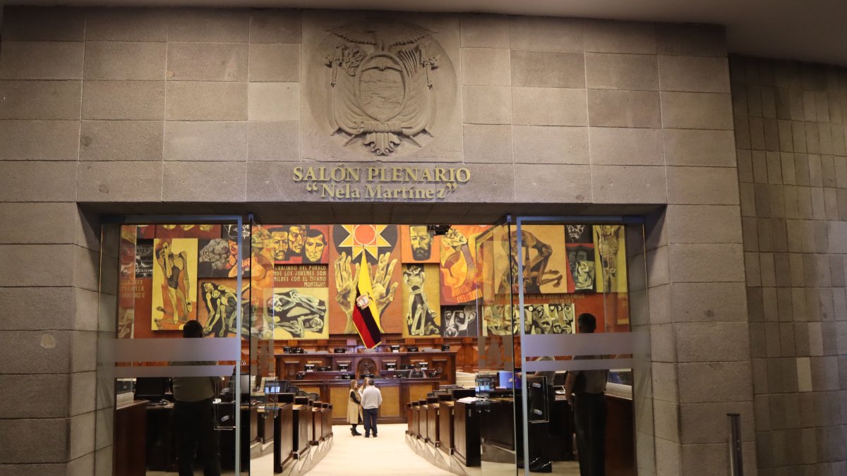 El Pleno Nela Martínez de la Asamblea Nacional.