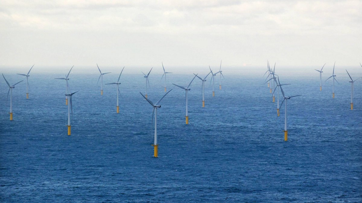 El sector de la energía eólica marina, que afronta un incremento de los costes, ha rechazado la última subasta por considerar que las subvenciones que se ofrecían eran demasiado bajas.