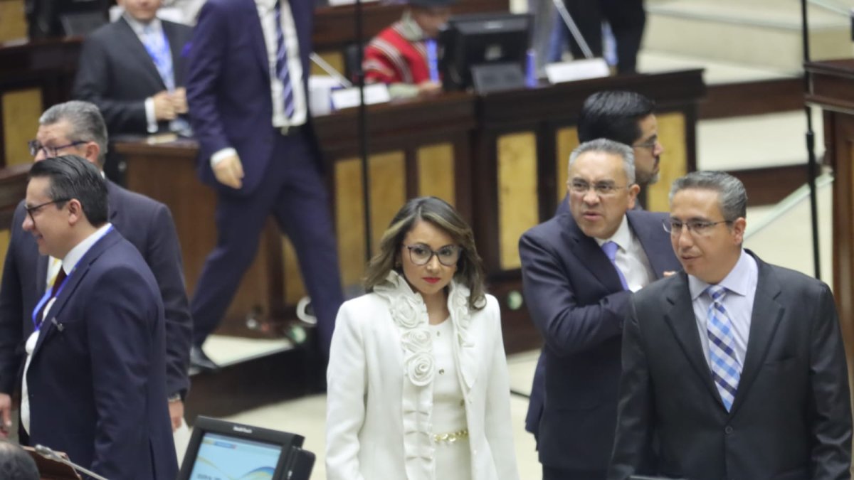 Se procede a la principalización de la asambleísta Nathaly Morillo, suplente de Patricio Carrillo, debido a que este no ha presentado su documentación.