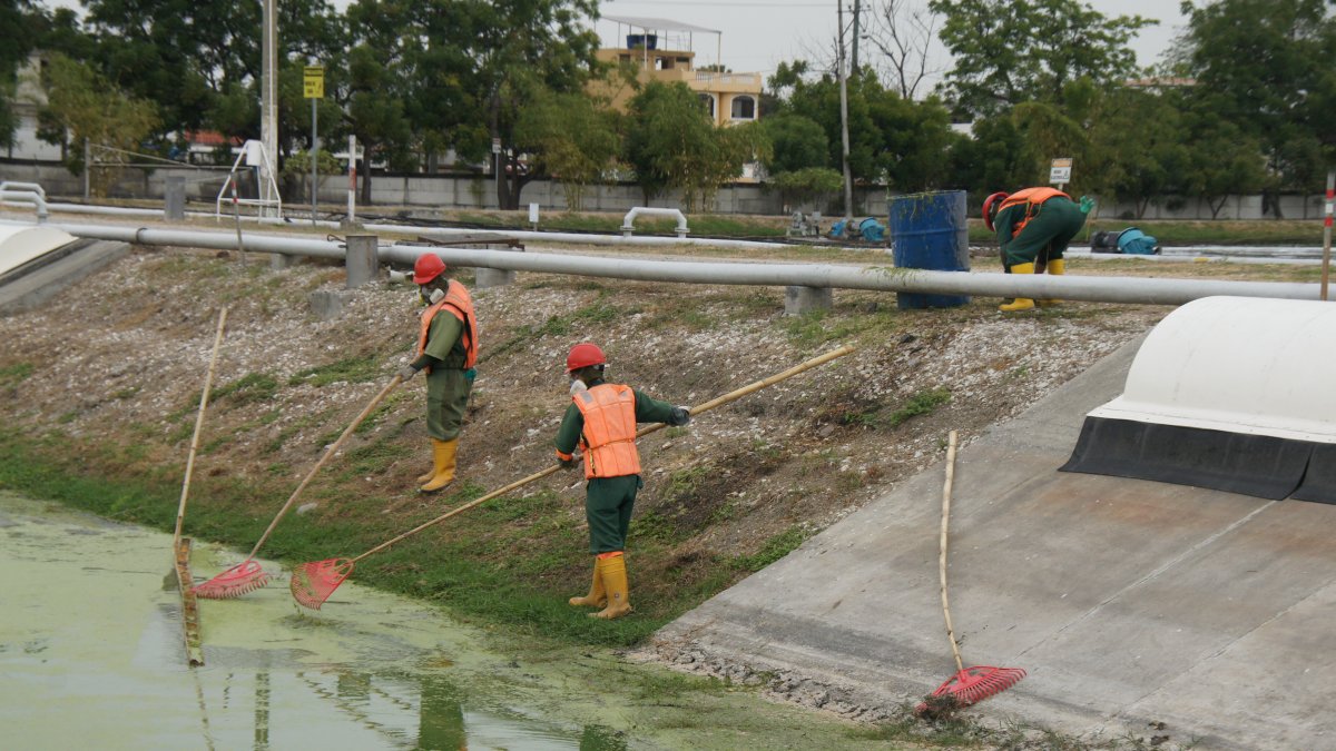 Trabajos. Interagua inició sus labores de mantenimiento de las piscinas.