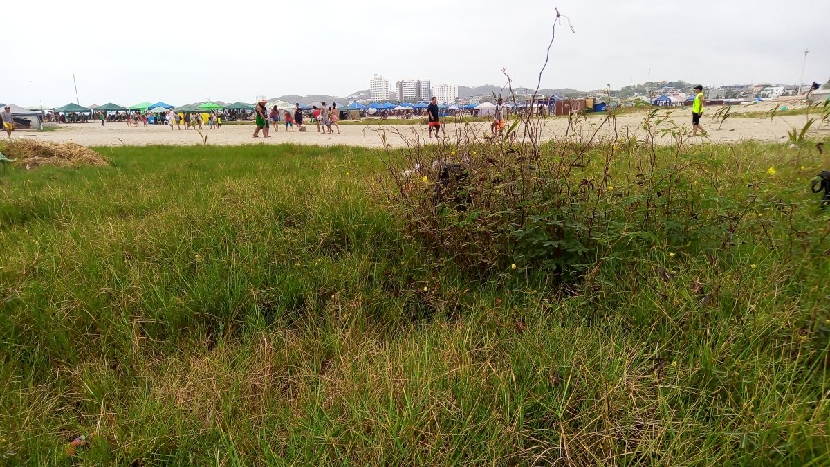 Hecho. Esta es la imagen que prevalece en los balnearios de Playas desde hace ya más de un año.