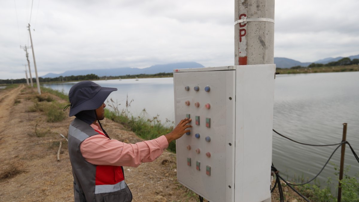 Energía. Un trabajador en una empresa del sector camaronero que usa electricidad en la producción.