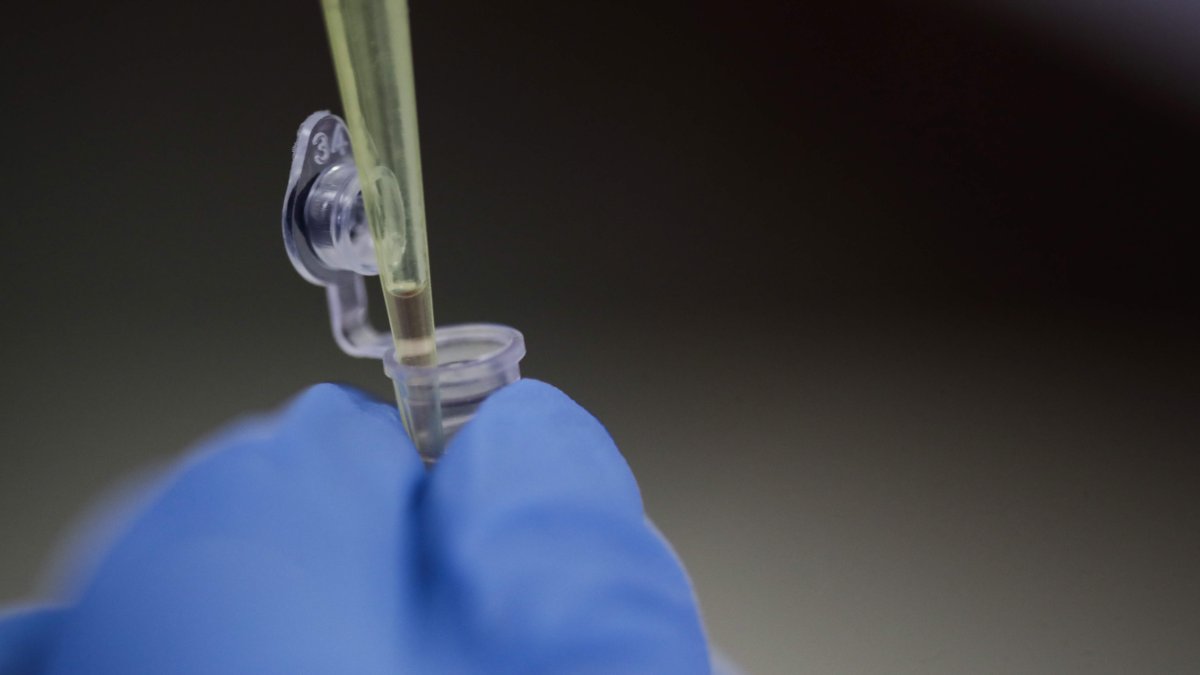 Avance. Un detalle de frascos con muestras de laboratorio.