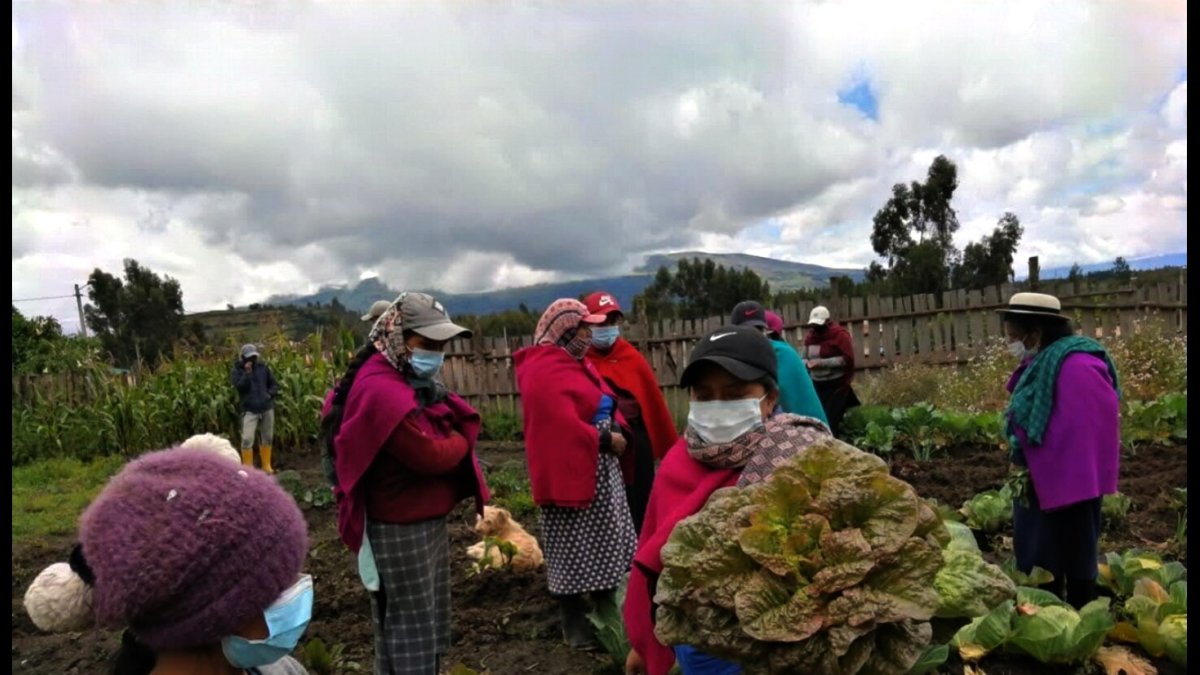 Alianza. Grupos buscarán prevenir el cáncer de mama
