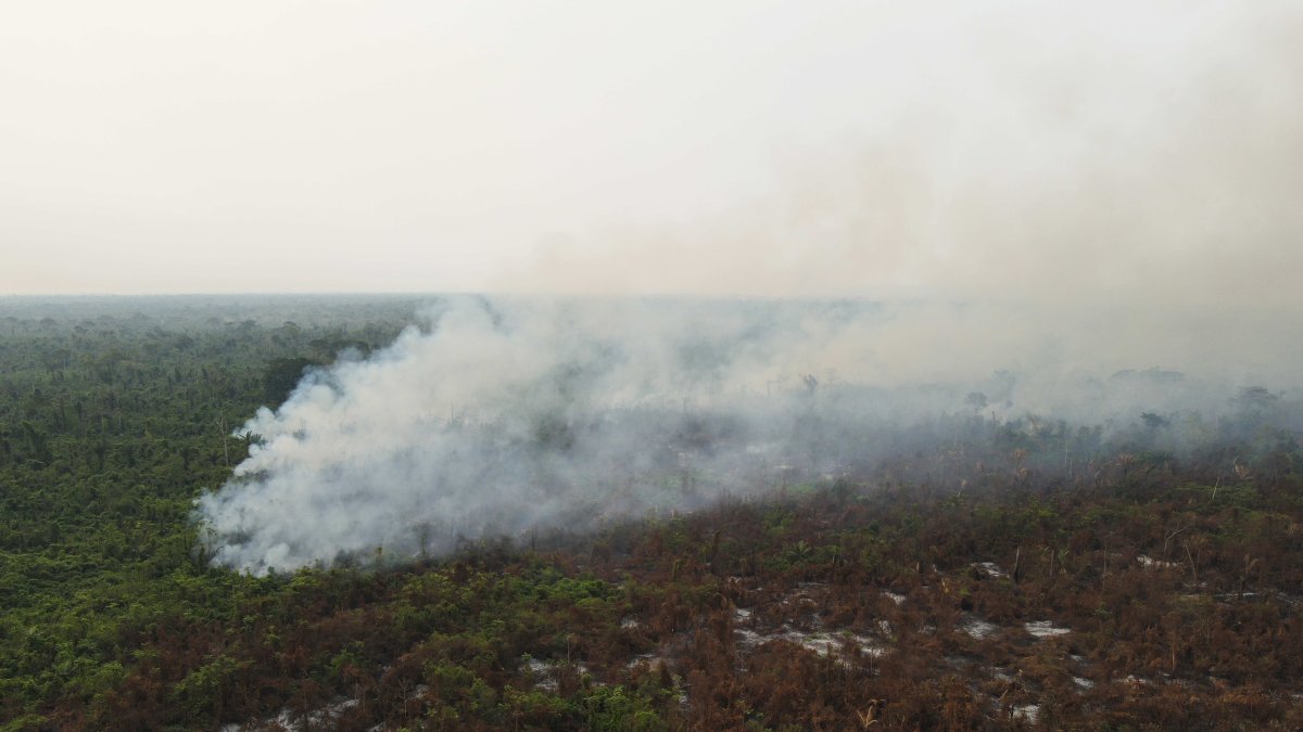 Fotografía aérea que muestra un incendio en el área municipal El Copaibo, el 13 de noviembre de 2023, en Santa Cruz (Bolivia).