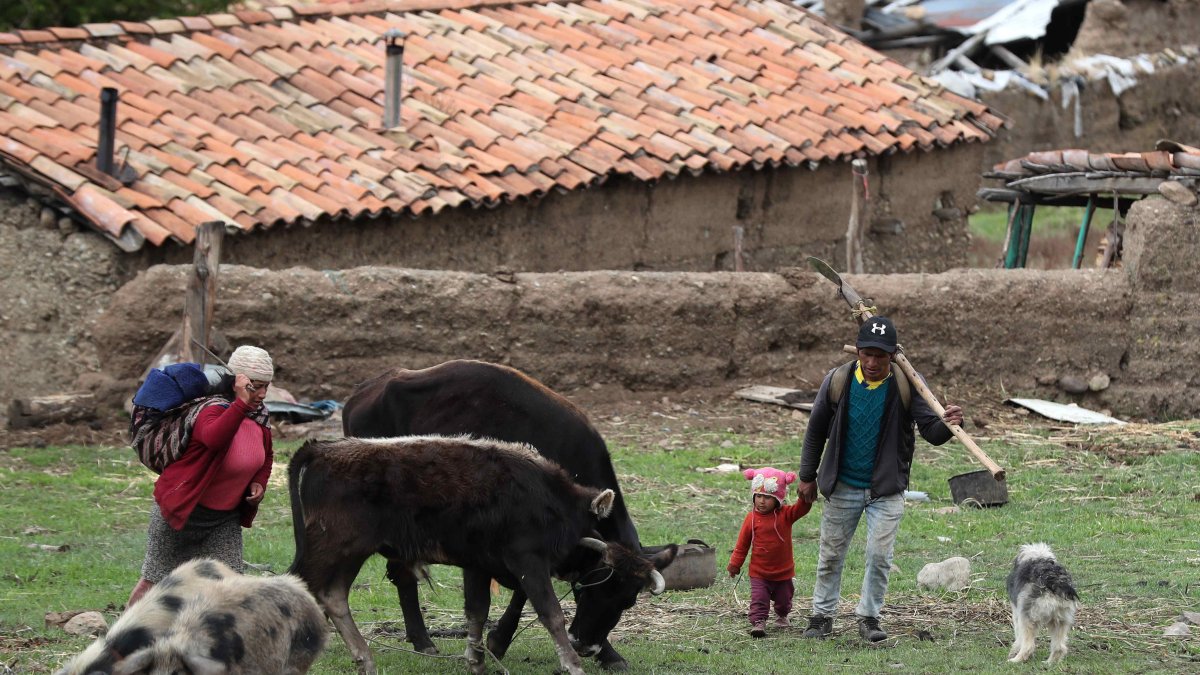 Una familia a más de 3.500 metros de altura en la región de Junín, el 14 de noviembre de 2023, en los Andes del centro de Perú.