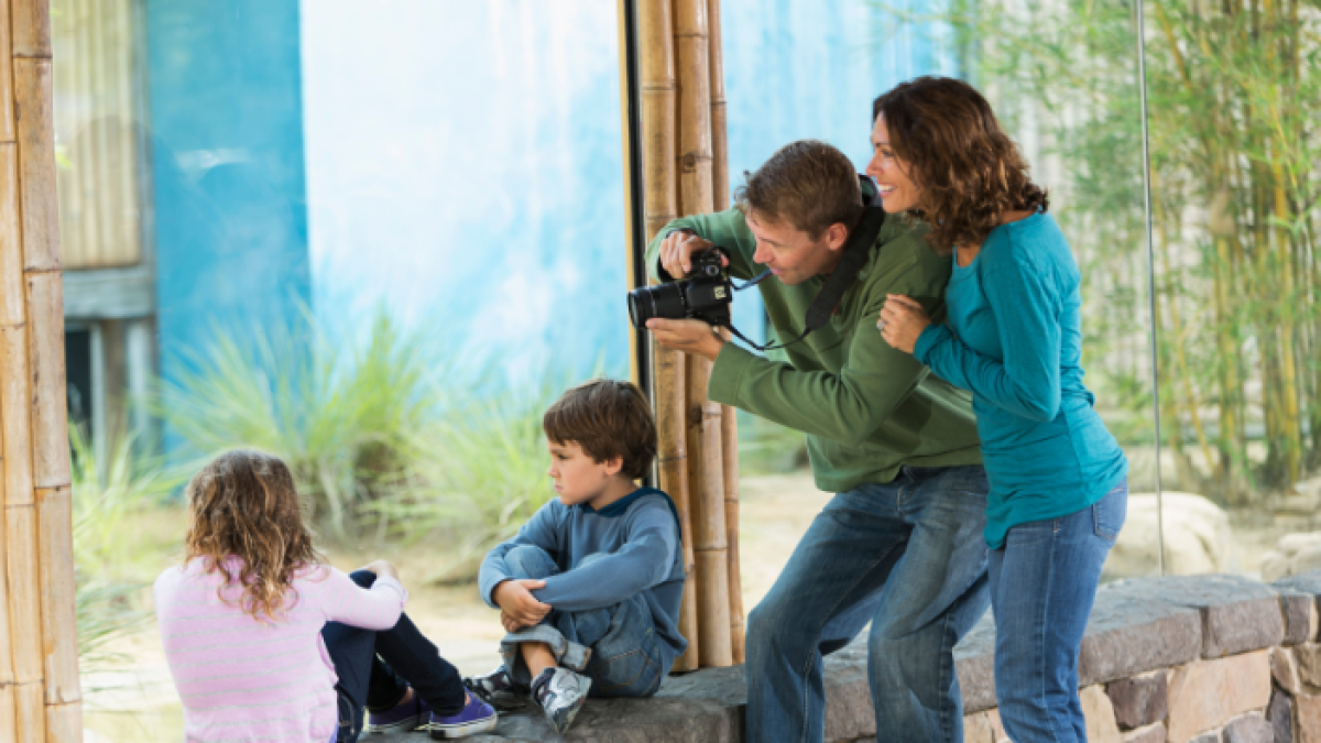 Guayaquil y Quito se preparan para un emocionante fin de semana con una variedad de actividades.