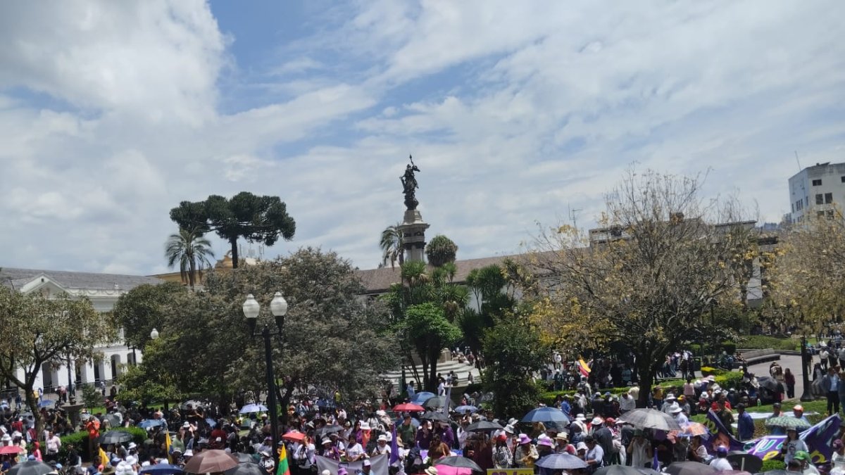 Simpatizantes de Daniel Noboa en la Plaza Grande.