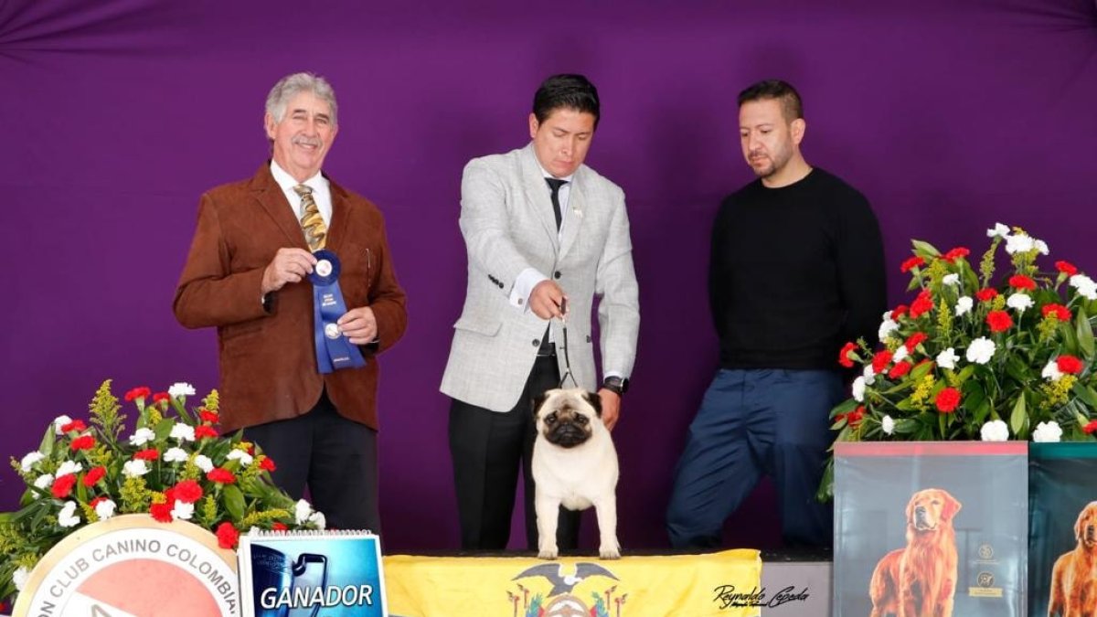 PETFEST será el lugar de encuentro para las mascotas, sus dueños y las empresas o emprendimientos especializados en este rubro.