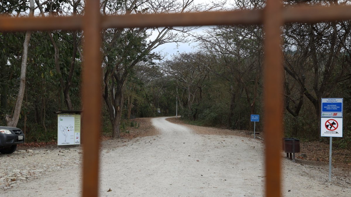 Guayaquil. Los especialistas apuntan a preservar, a como dé lugar, las especies que habitan en Cerro Blanco.