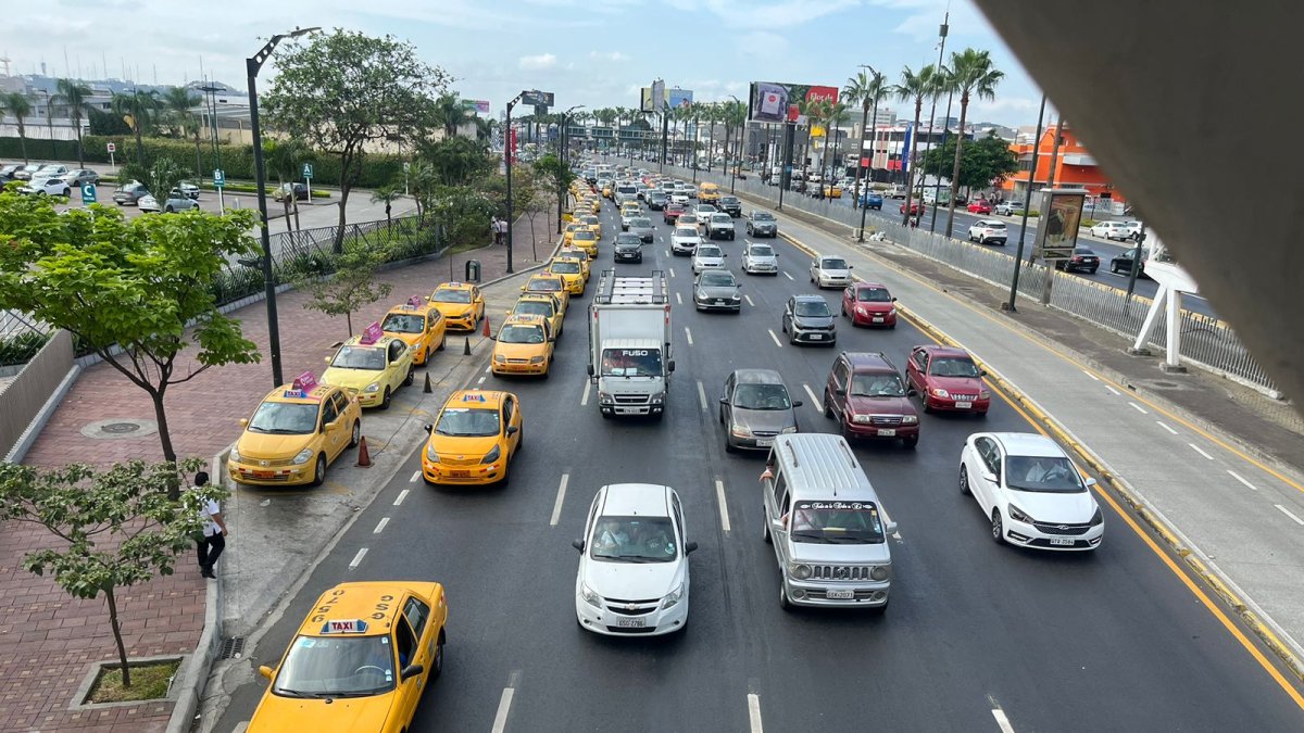 Decenas de carros hacen fila en busca de combustible.