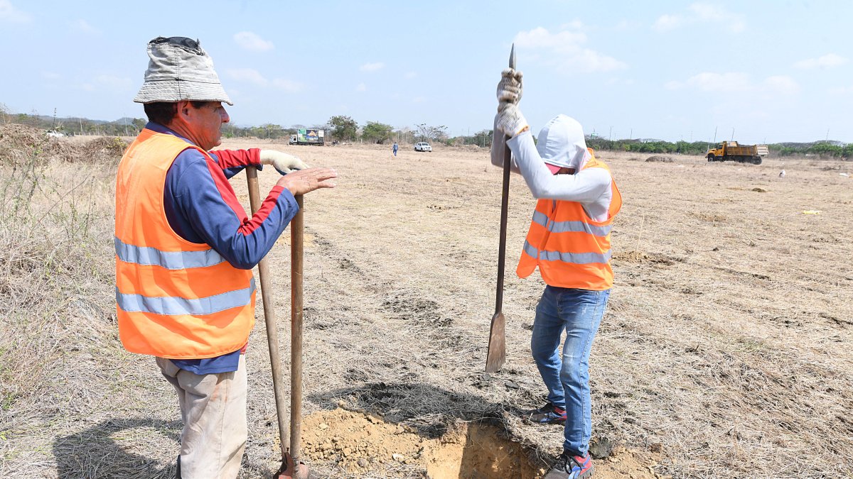 Trabajos. Desde el noviembre 20 se realizaron trabajos para la siembra.