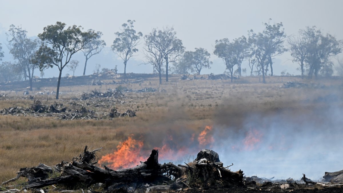 Más de 170 bomberos y un millar voluntarios lucharon a contrarreloj estos fuegos que comenzaron el miércoles 22 de noviembre de 2023.