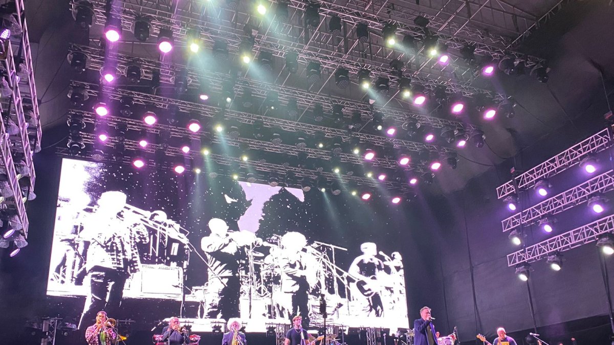 La organización ha recomendado evitar la compañía de mascotas.