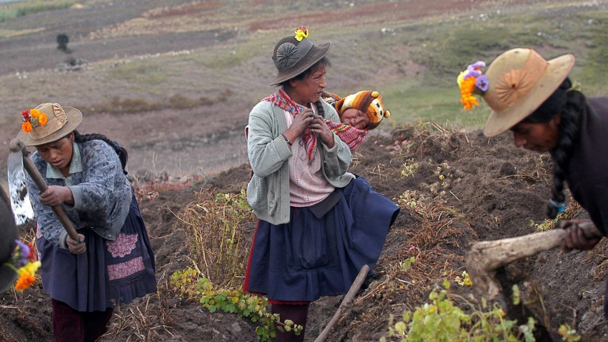 Los trabajos buscan ayudar a la comunidad indígena.