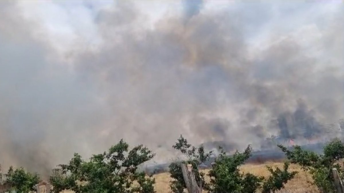 Suceso. El incendio se registró este lunes 27 de noviembre.