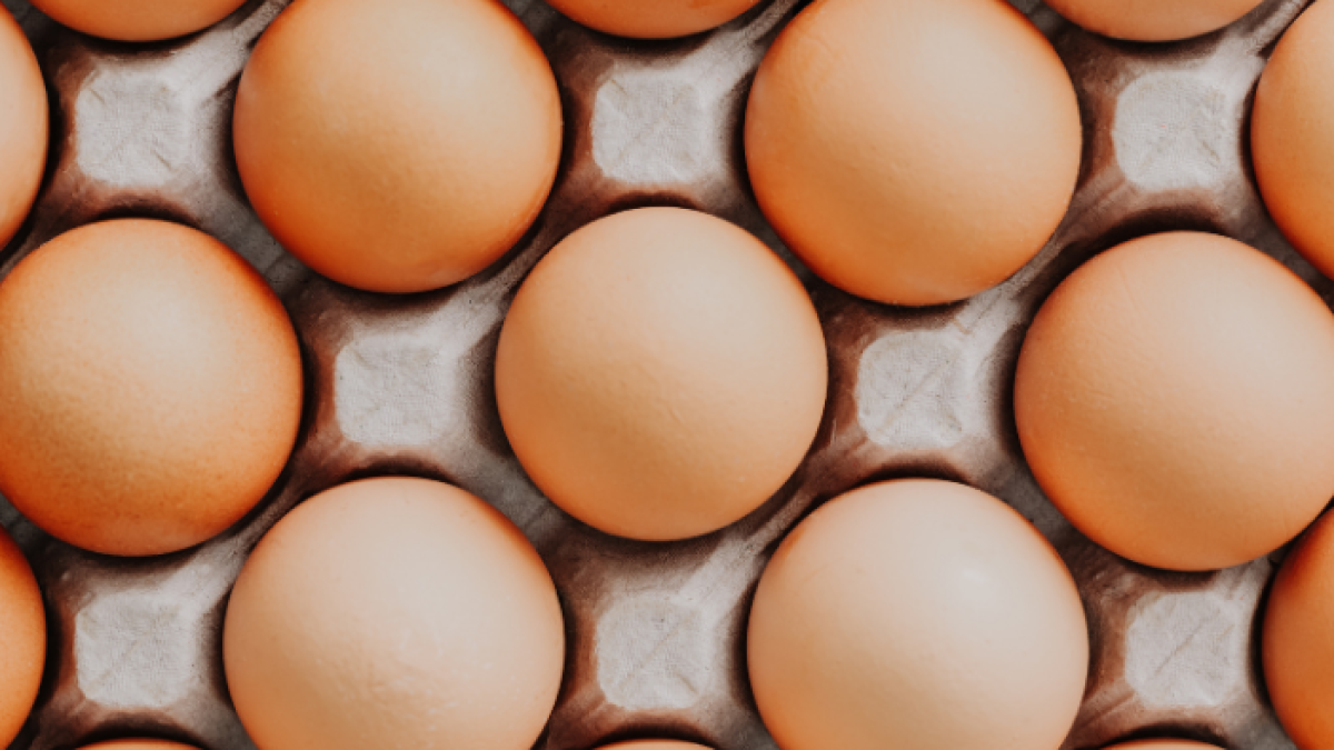 Foto referencial de huevos Indaves que saldrán del mercado.