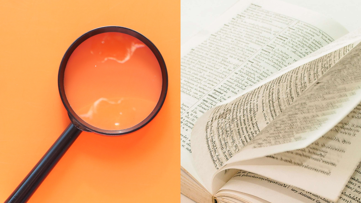 Nuevos términos fueron presentados el 28 de noviembre de 2023