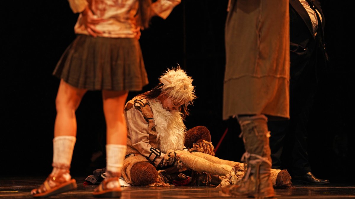 Fiesta Escénica,historia de una oveja