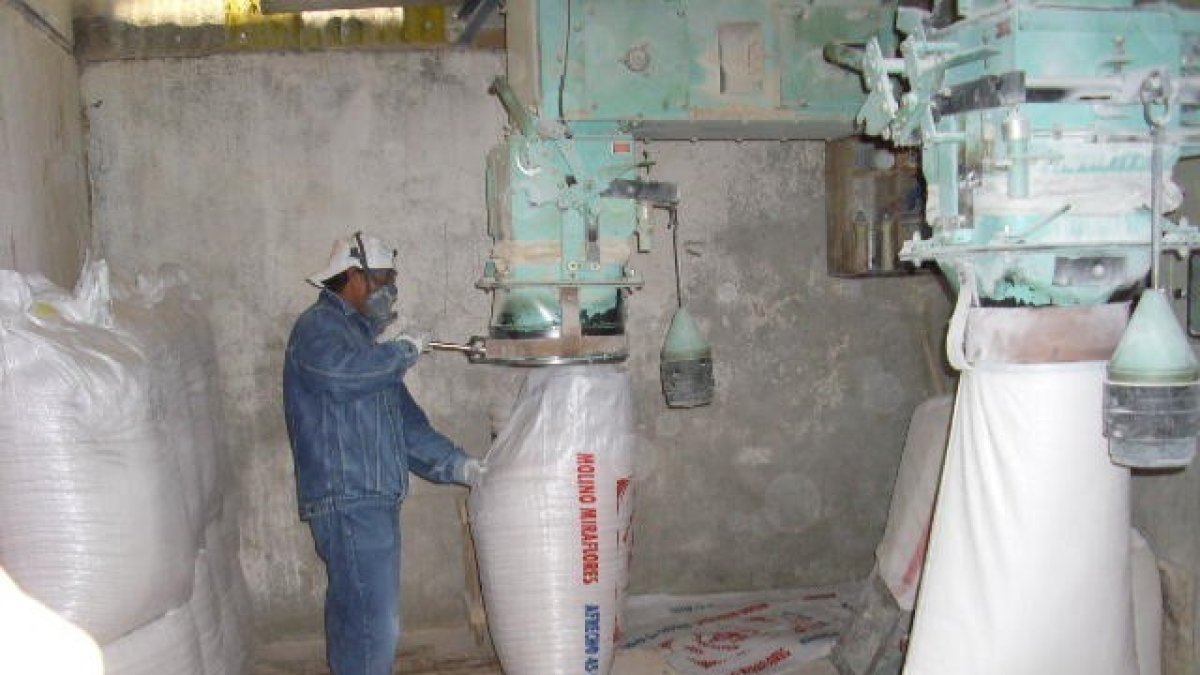 El trigo lo exportan de Canadá, Estados Unidos y Argentina.