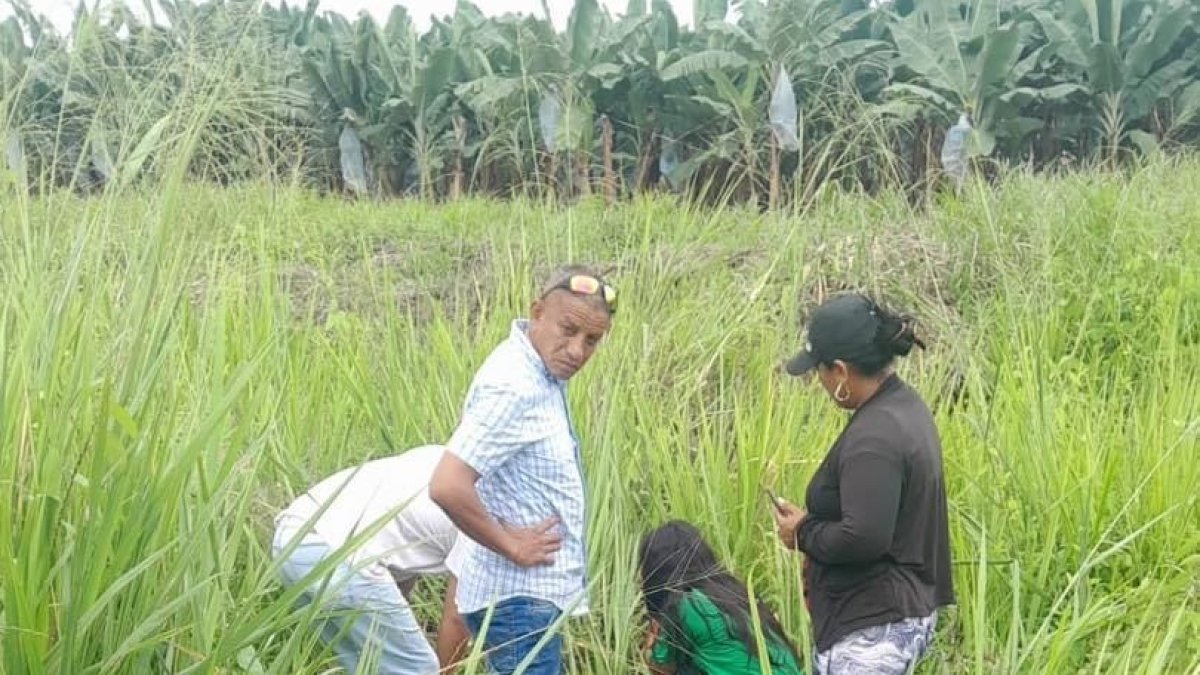 Pista. El cuerpo del joven fue hallado entre los matorrales.