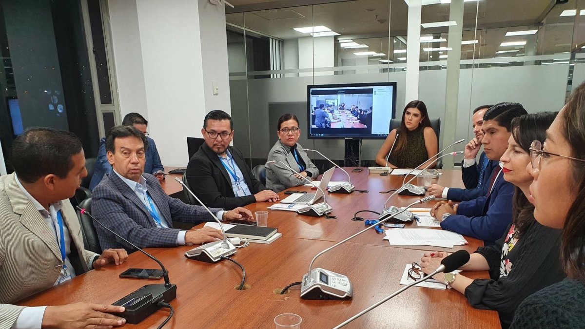 La comisión está conformada por oficialistas de ADN, correístas, un socialcristiano y un independiente.