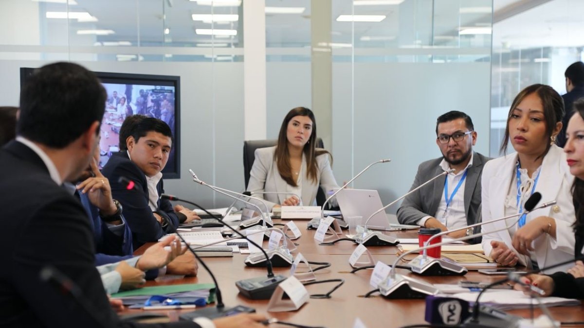 La Comisión de Desarrollo Económico discute la reforma tributaria de Daniel Noboa.
