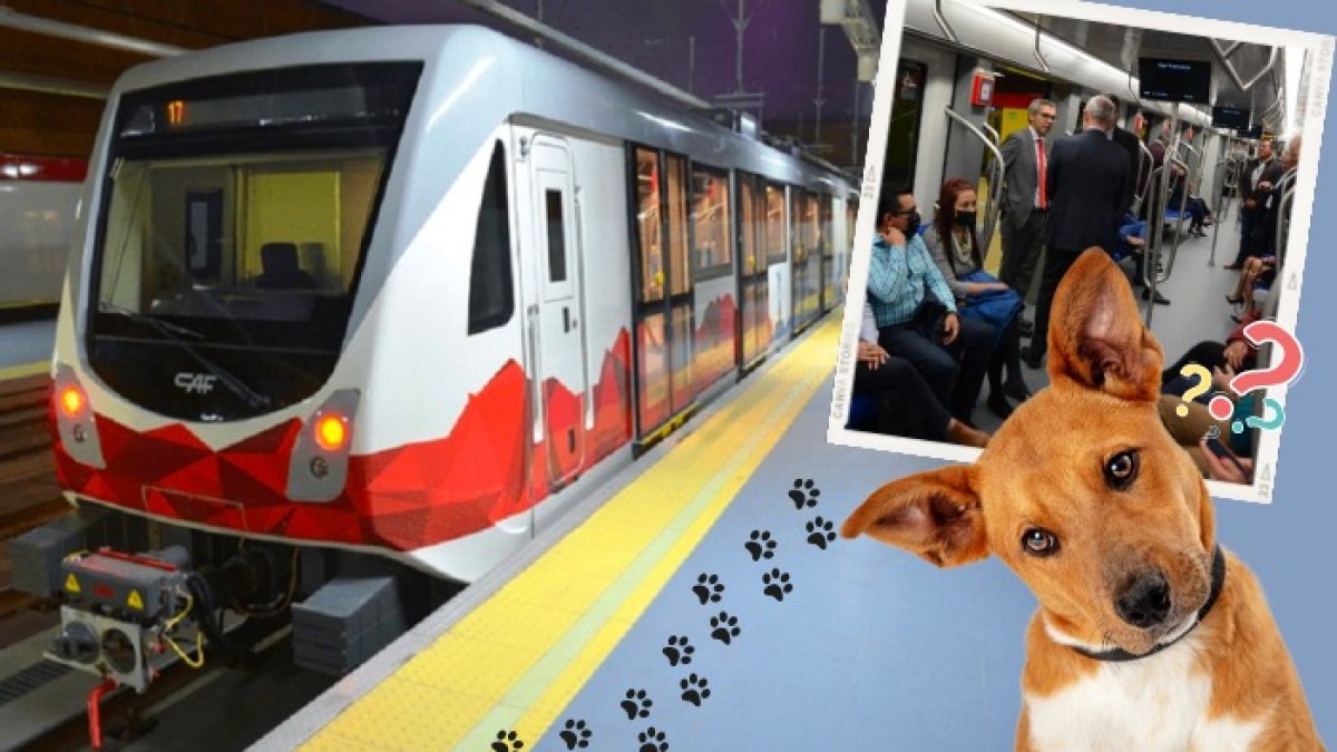 Información. El Municipio de Quito detalló que es permitido el acceso de mascotas al Metro, siempre y cuando pesen menos de 10 kilogramos.