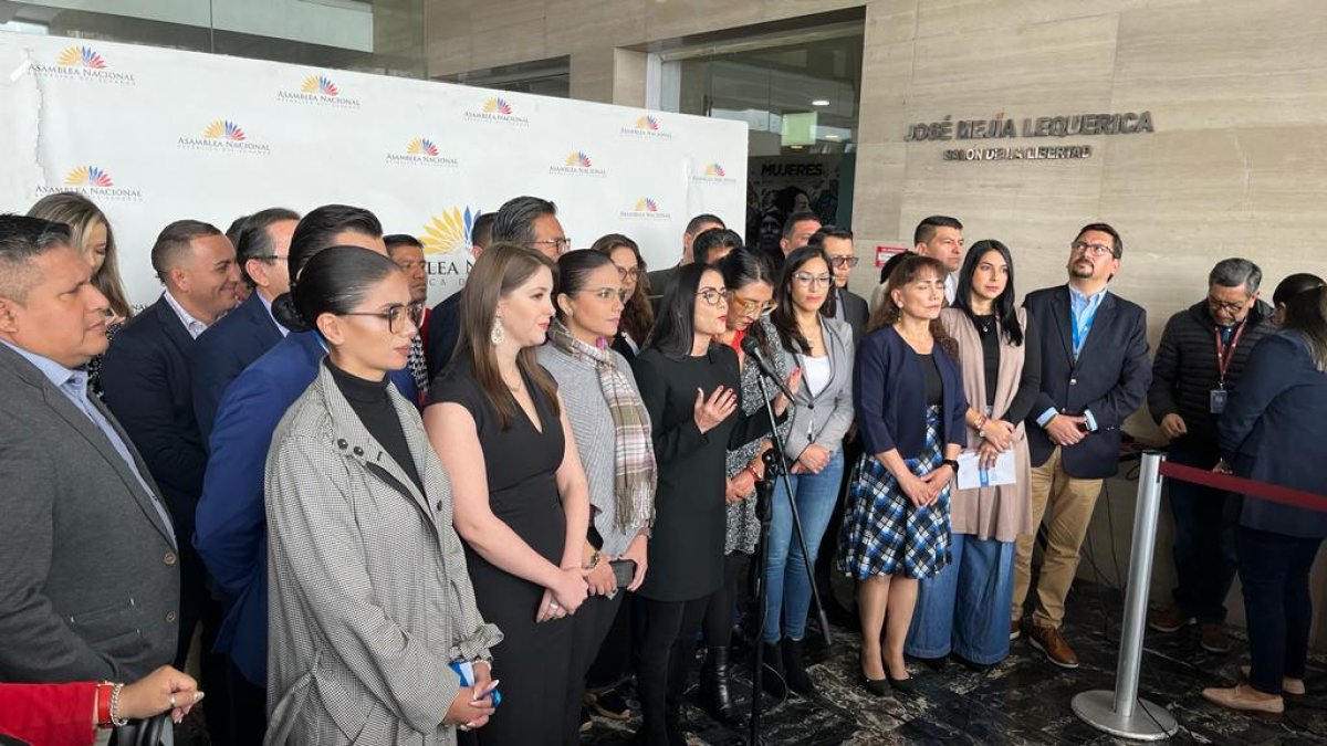 El correísmo se mostró satisfecho por esta primera decisión de continuar el trámite de juicio político.