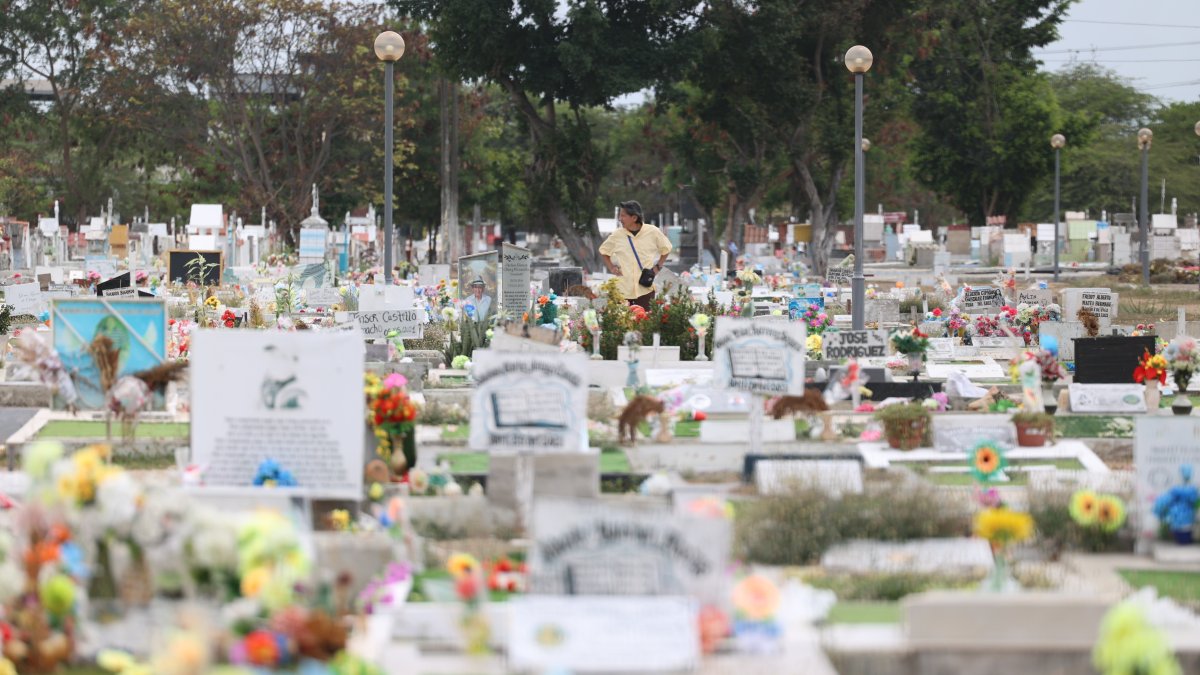 Argumento. El Municipio aclaró que servicios de inhumación y exhumación en los cementerios municipales son gratuitos.