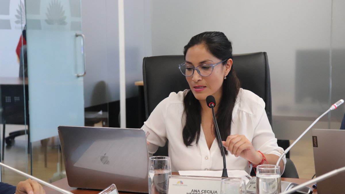 La asambleísta del correísmo, Ana Herrera, será la ponente de la ley ante el pleno de la Asamblea.